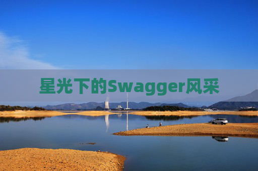 星光下的Swagger风采